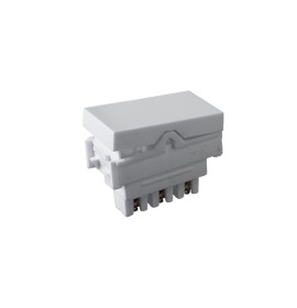 MODULO INTERRUPTOR PARALELO 10A 250V VIVAZ