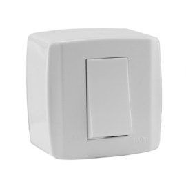 CJ.1INT.SIMPLES 10A BOX (8417)