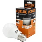 LAMPADA LED BULBO FOXLUX A60 6W 6500K 540L